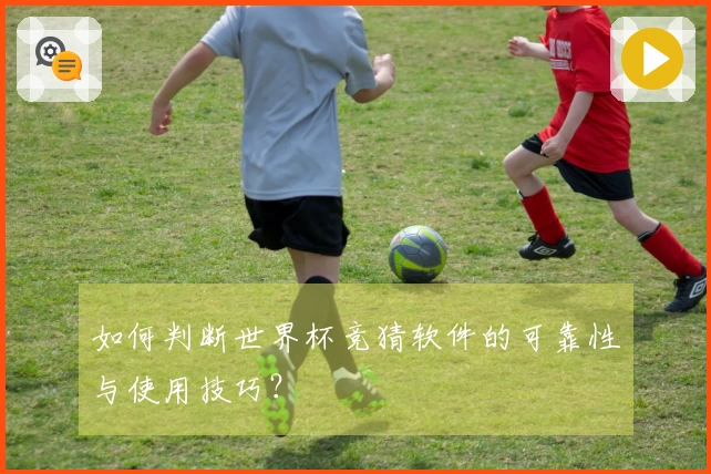如何判断世界杯竞猜软件的可靠性与使用技巧？