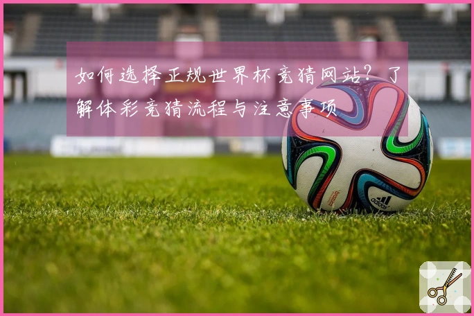 如何选择正规世界杯竞猜网站？了解体彩竞猜流程与注意事项