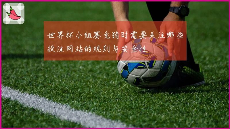 世界杯小组赛竞猜时需要关注哪些投注网站的规则与安全性