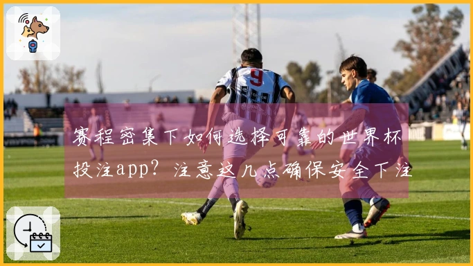 赛程密集下如何选择可靠的世界杯投注app？注意这几点确保安全下注